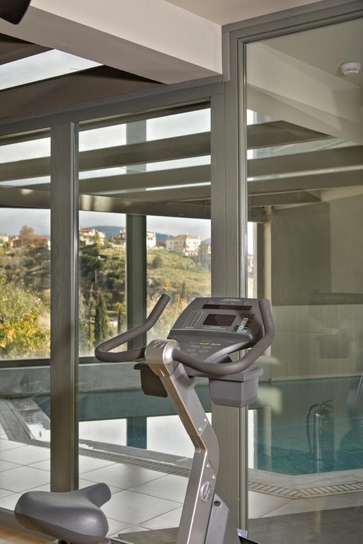 Hotel Aegli Arachova Zewnętrze zdjęcie